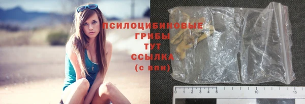 дурь Волоколамск