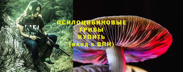 бошки Бугульма