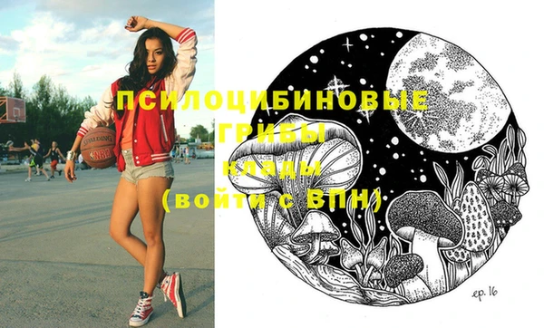 твердый Володарск