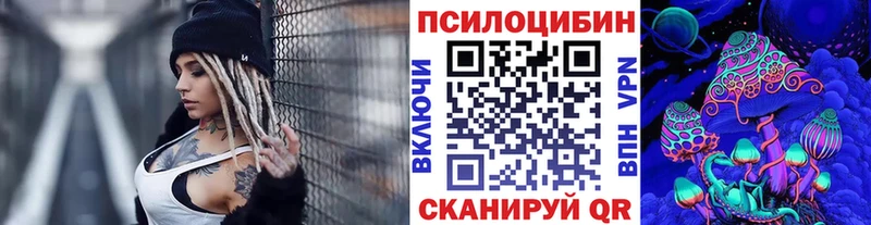 наркошоп  Дмитровск  Псилоцибиновые грибы Cubensis 
